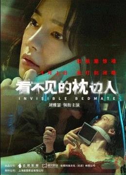 看不见的枕边人封面图