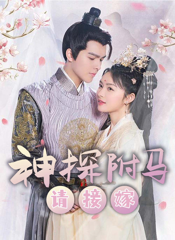 神探驸马请接嫁封面图