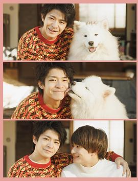 爱你汪汪封面图