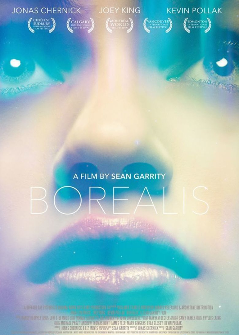 去看北极光封面图