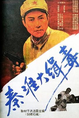 秦淮大缉毒封面图