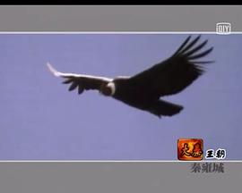 中国十大王朝封面图