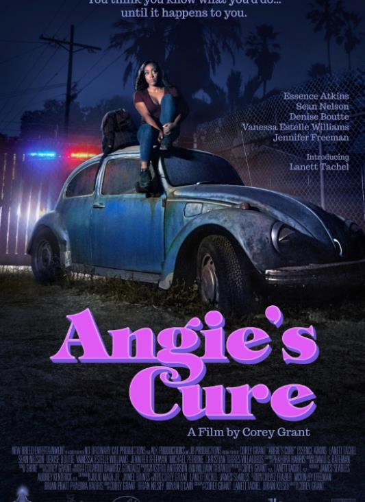 安吉的治疗封面图