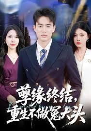 孽缘终结，重生不做冤大头封面图